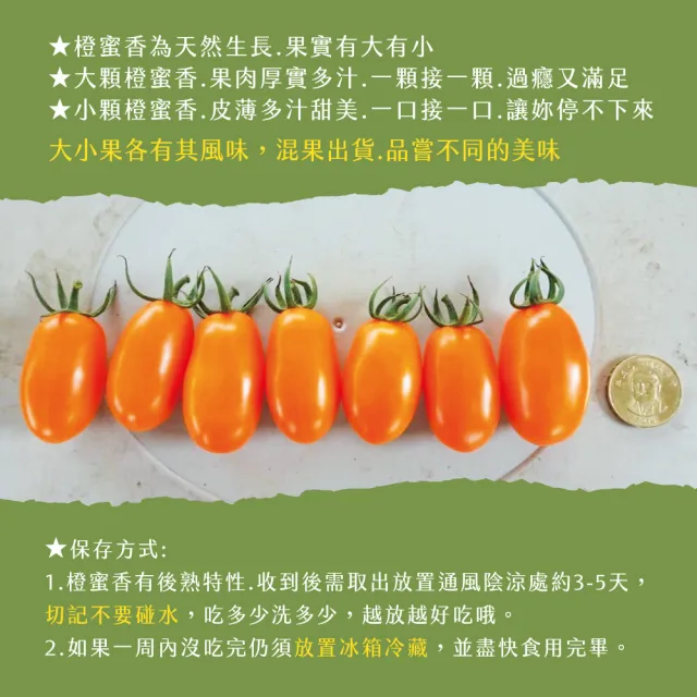 【初品果】美濃達哥雙色橙蜜香小番茄3斤x4盒(紅蜜+橙蜜_產銷履歷_年節禮盒)