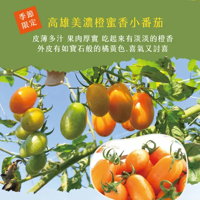 【初品果】美濃達哥橙蜜香小番茄禮盒4斤x2盒(季節限定_產銷履歷_年節禮盒)