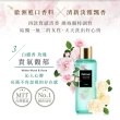 【Relove】蛋白酵素去漬抗菌手洗精220mlX3入(啾啾妹、煎妮花、黑茶、小暴龍、PLAY BOY限量版))