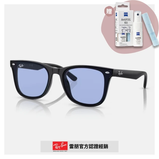 RayBan 雷朋 膠框太陽眼鏡(RB4391D-601/80、RB4391D-601/93 65mm)