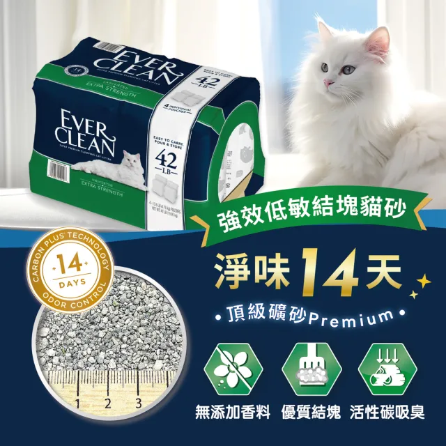 【EverClean 藍鑽】強效低敏結塊貓砂 42LB(礦砂)