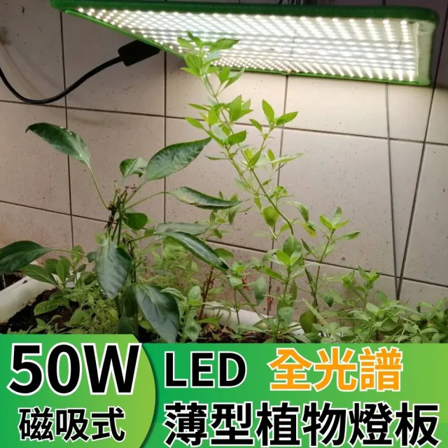 【JIUNPEY 君沛】LED50W薄型植物燈板 50瓦磁吸式植物燈 仿日照陽光植物燈全光譜 高演色舒適光(植物燈)