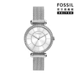 【FOSSIL 官方旗艦館】Tillie系列 鑲鑽優雅女錶 不鏽鋼米蘭帶指針手錶 36MM(多色可選)