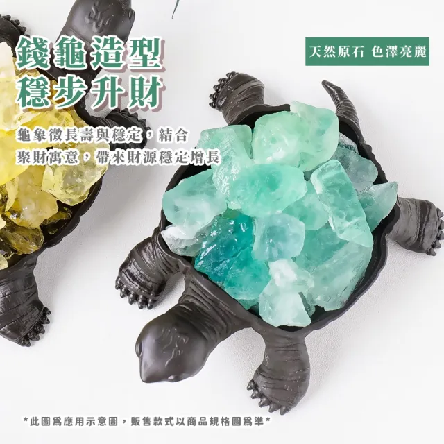 原石擺件】天然綠螢石聚財錢龜鎮(智慧綠晶簇咬錢招財淨化能量水晶風水