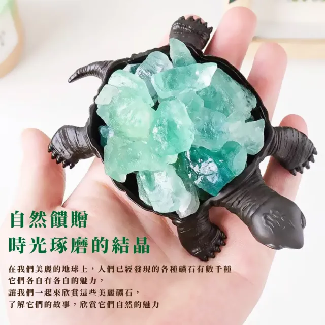 水晶 自然結晶 置物 約10cm 原石擺件】天然綠螢石聚財錢龜鎮(智慧綠晶簇咬錢招財淨化能量水晶風水