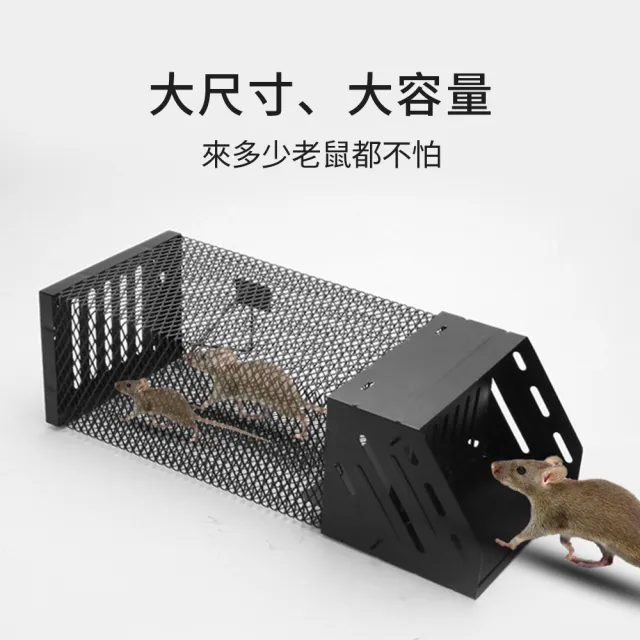 【zLife】單門連續踏板式捕鼠籠 全自動大洞口捕鼠器 滅鼠神器陷阱誘捕抓老鼠 老鼠籠/捕鼠/驅鼠/撲鼠器