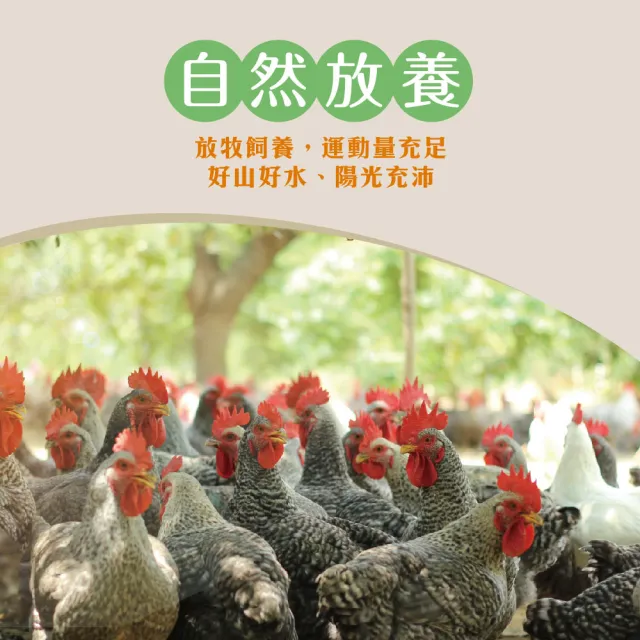 【超秦肉品】文昌雞 放牧飼養雞肉切塊500g *4盒(文昌雞  土雞  生鮮雞肉 雞肉切塊)