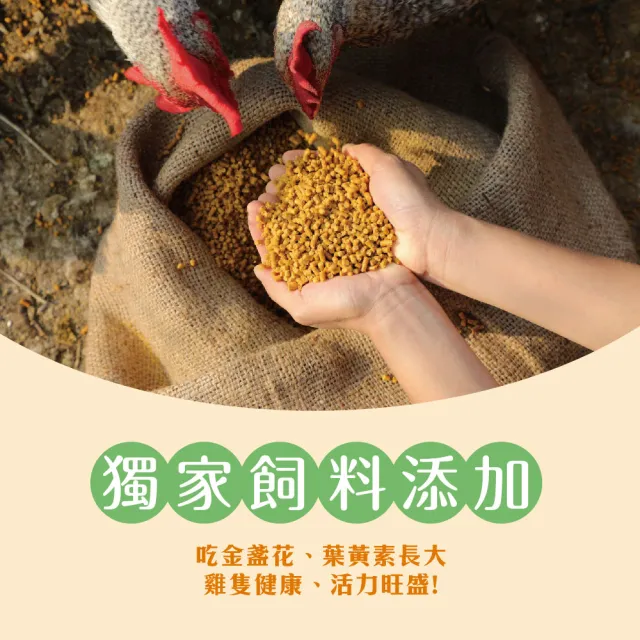 【超秦肉品】文昌雞 放牧飼養雞肉切塊500g *4盒(文昌雞  土雞  生鮮雞肉 雞肉切塊)