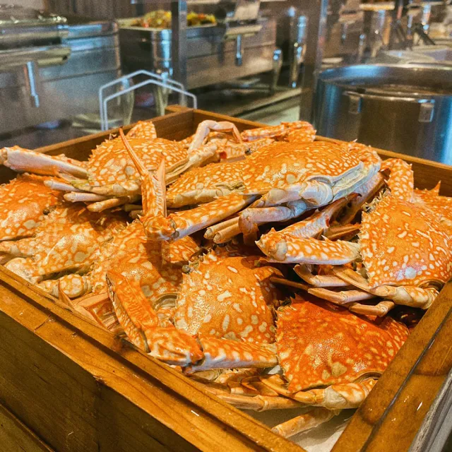 【台中日光溫泉會館】台中高CP聚餐強檔!花見西餐廳★平日午餐吃到飽假日+100/人