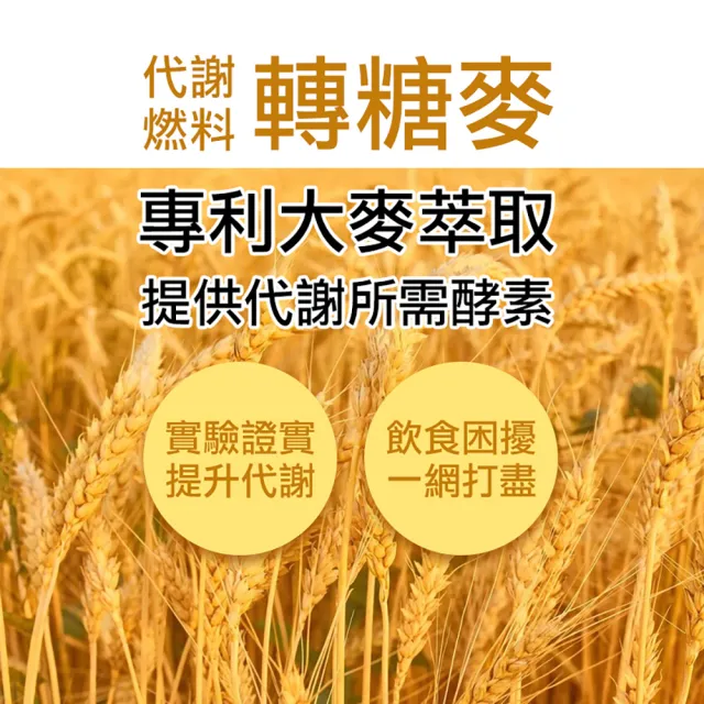 【梁衫伯】30粒x3盒-苦瓜胜肽金盞花葉黃素複方膠囊(促進新陳代謝 機能守護)