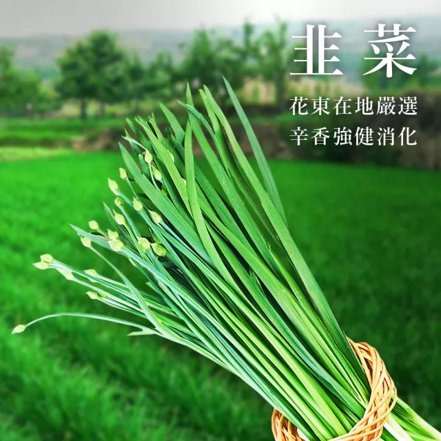 【陳記好味】飽滿元寶手工水餃3包共約300顆(高麗菜、韭菜、玉米任選 煎煮/水煮/15分鐘即上桌)