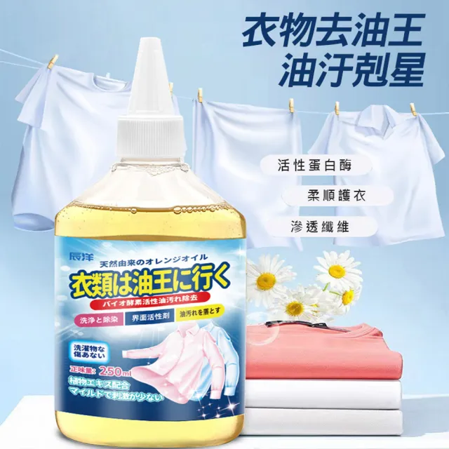 【日本辰洋】衣物油漬清潔劑250ml*2入(衣物去油王/應急清洗劑)