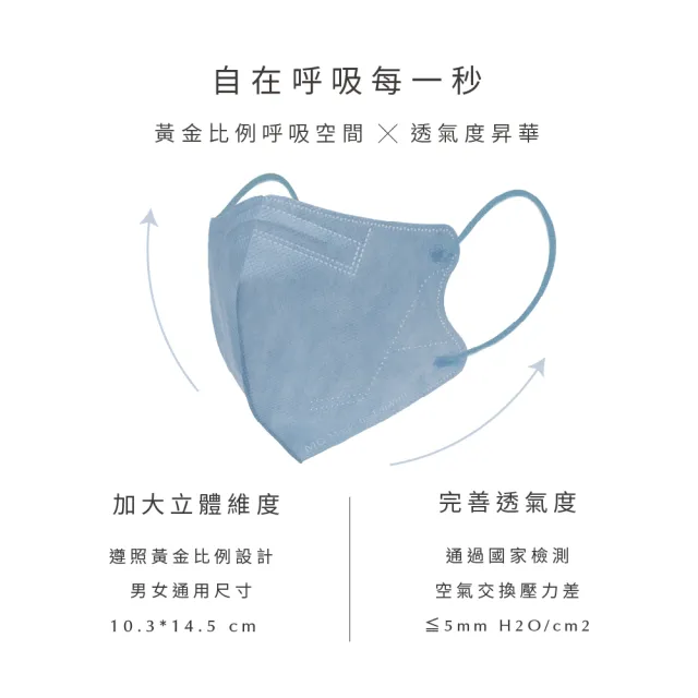 【辰昱】辰昱3D立體醫療口罩10入/共四包(透氣成人加大3D口罩)