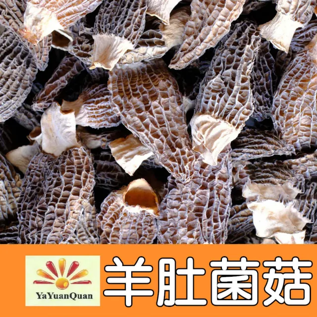 【亞源泉】羊肚菌菇 50g/包 羊肚菌 特級菌菇 1入組含運費(菇中之王)