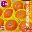 【WANG 蔬果】摩天嶺高山7A甜柿12顆x1盒(200g/顆_禮盒)