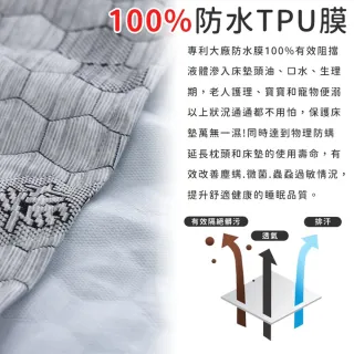 【同闆購物】護理級防水枕頭套 多色任選(吸濕排汗專利處理/台灣製/保潔墊枕套/防水枕套/枕頭套)