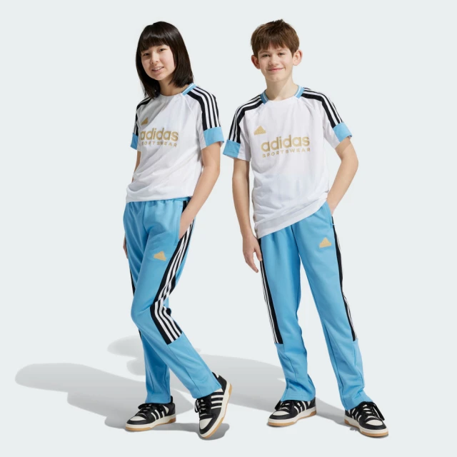 adidas 愛迪達 ACTIVEFLEX BOA 運動鞋 