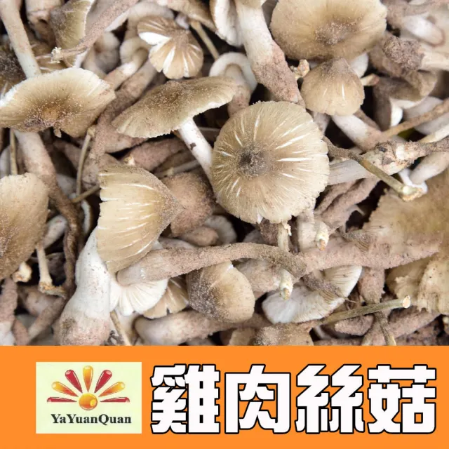 【亞源泉】純野生雞肉絲菇 切片 70g/包 3入組(雞肉絲菇)