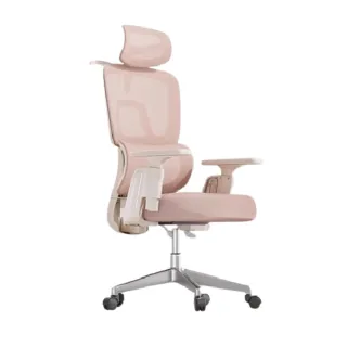 【萊克帝家旗艦店】人體工學電競椅 電競椅 電腦椅 辦公椅(輕雲鏤空坐墊/四級氣桿/帶擱腳  預購15天)