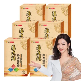 【華陀扶元堂】龜鹿鱘膠原鍵行錠6盒組(30錠/盒;陳美鳳代言-二型膠原蛋白/軟骨素/玻尿酸)