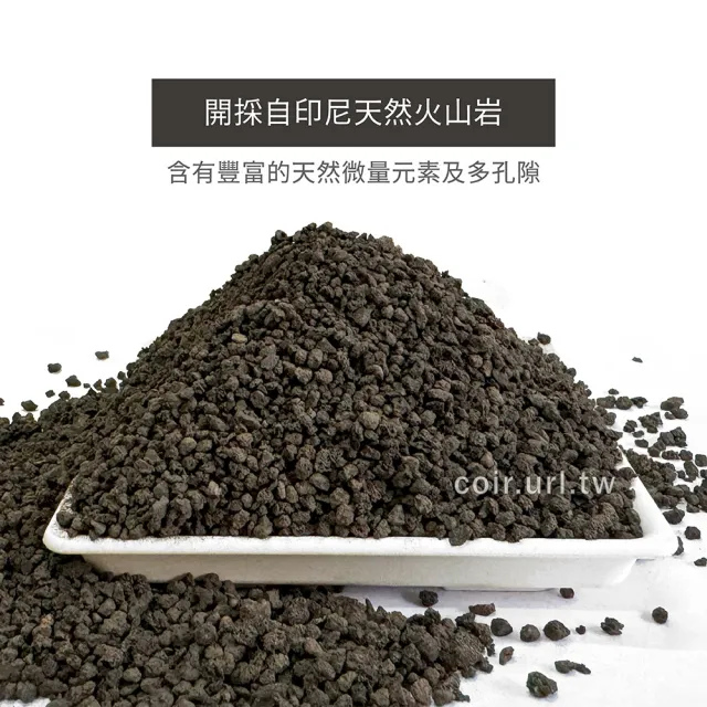 【瘋狂植物社】999印尼黑火山石1.5公升裝-粒徑1~3mm(多肉石、蘭花石、多孔隙結構、可沉水、可作為水族底砂)
