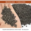 【瘋狂植物社】999印尼黑火山石1.5公升裝-粒徑3~5mm(多肉石、蘭花石、多孔隙結構、可沉水、可作為水族底砂)
