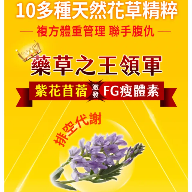 【iVENOR】十時塑花草茶-孅莓口味x12盒(10包/盒 冷熱沖泡 纖體茶)