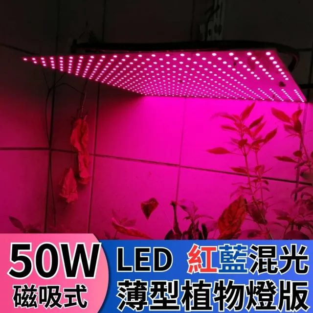 【JIUNPEY 君沛】LED50W薄型植物燈板 50瓦磁吸式植物燈 紅藍混光 專業型光譜(植物燈)