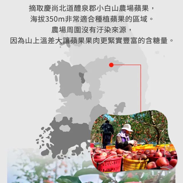 【韓味不二】韓國100%葡萄蘋果汁100ml*20入禮盒X1盒(送禮推薦/節日禮盒/春節禮盒)