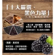 【古寶無患子】3瓶入 九蒸九曝髮翳淨髮精華露550g(養髮/頭皮養護/強健髮根/無矽靈)