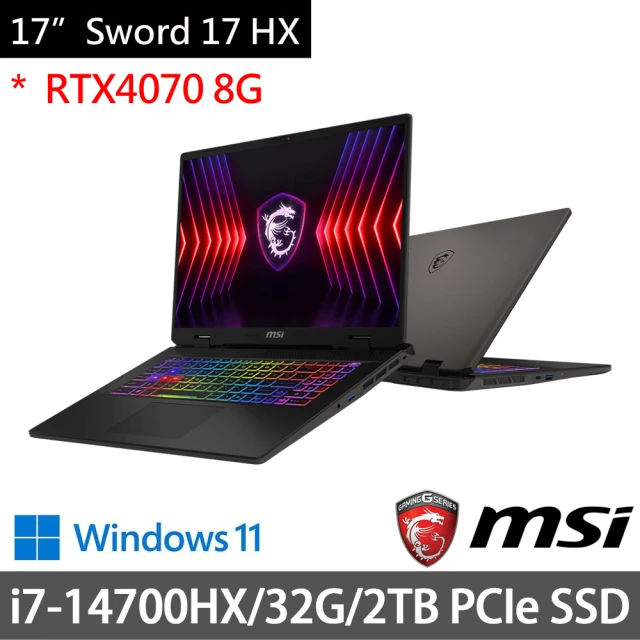 MSI 微星 特仕16吋獨顯電競筆電(Sword 16 HX