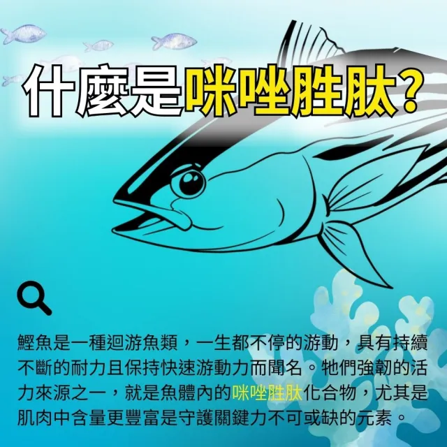 【亞洲健康王】AHA關捷挺固立30g 葷食 共60瓶(D3 MSM 郭子乾白冰冰雙推)