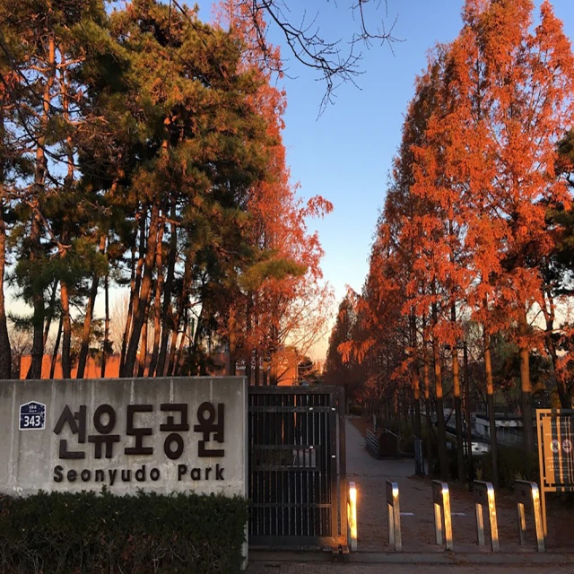 朋威旅行社 百花齊放首爾5日、櫻賞仙遊島、透明溫室日月樹木園、潮流復古聖水洞