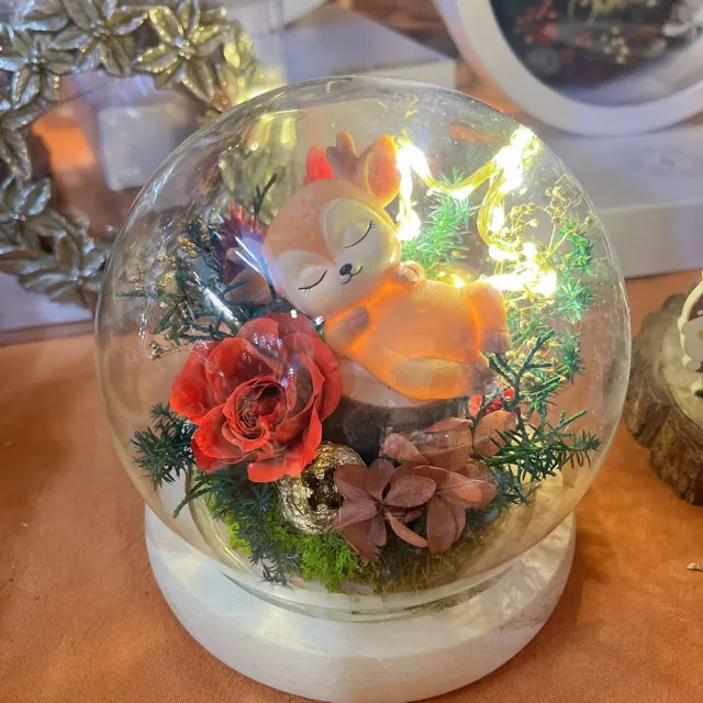 【OSTARA FLORIST 奧斯塔拉花藝】麋夢~仰望好休憩(療癒系花禮、永生花材、不凋玫瑰、永生配材)