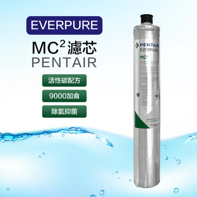 EVERPURE 愛惠浦 美國Everpure MC2 濾芯 9000加侖 愛惠浦 銀離子抑菌濾心(原裝平輸1入)