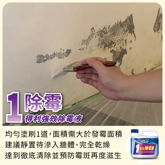 【得利】1.5坪 全效合一乳膠漆+壁癌包組合(油漆 壁癌 塗刷)
