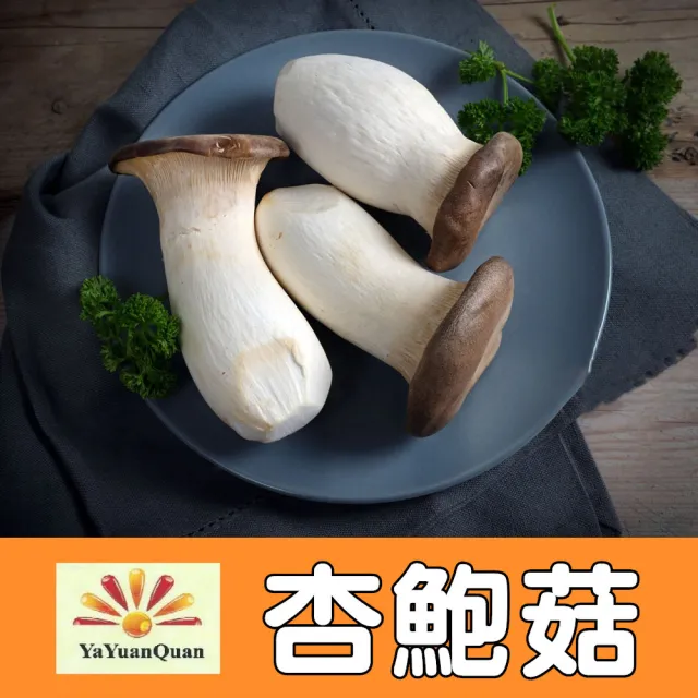 【亞源泉】杏鮑菇 100g/包 乾杏鮑菇 3入組(杏鮑菇 味道鮮美 滋味無窮)