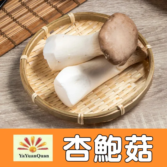 【亞源泉】杏鮑菇 100g/包 乾杏鮑菇 3入組(杏鮑菇 味道鮮美 滋味無窮)