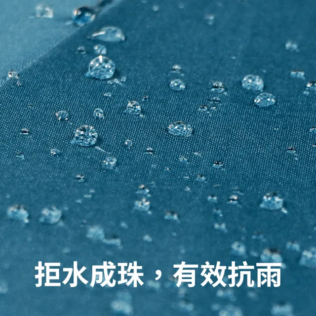 【雨傘王】BigPurple 最大傘面 自動傘 折疊傘 27吋 防潑水 8骨防風 多人撐(可付費維修*)