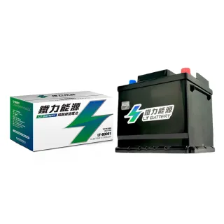 【鐵力能源】超長壽命鋰鐵電瓶  LT-B0011R-P_46Ah_D23R_PRO版本_送基本安裝(車麗屋)
