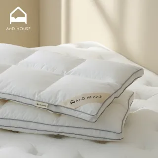 【AnD HOUSE 安庭家居】水洗抗菌-吐司型枕芯一入(低平枕/可水洗/防螨抗菌)