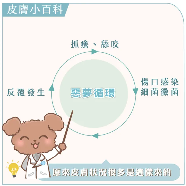 【GOODMO 歸毛家族】護膚噴液x3精萃營養霜/修護霜x3送舒敏保濕洗毛乳300ML(全齡貓狗護膚/無抗生素類固醇)