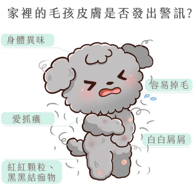 【GOODMO 歸毛家族】護膚噴液x4精萃營養霜/修護霜x4送舒敏保濕洗毛乳500ML(全齡貓狗護膚/無抗生素類固醇)