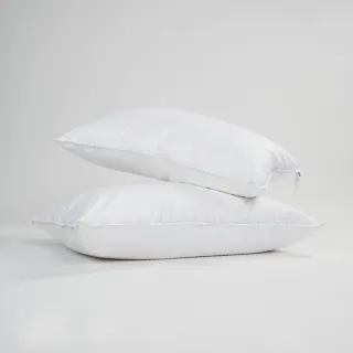 【皇室羽毛工房】2-in-1 珍珠羽毛枕一對