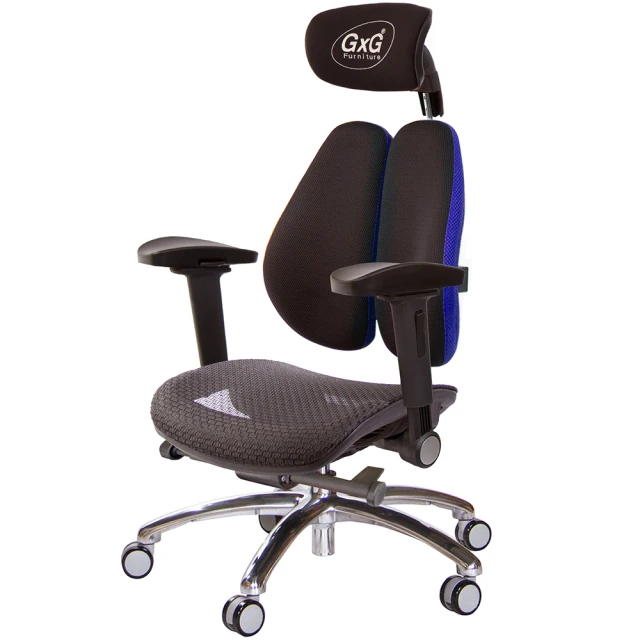 GXG 吉加吉 大網座 雙背工學椅 鋁腳/4D弧面摺疊扶手(TW-3676 LUA1D)