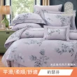 【DeKo岱珂】60支100%天絲床包兩用被四件組 速達(雙人/加大 均一價)