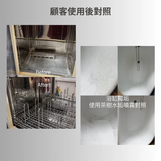 【YING SHUO】台灣製 歐盟 SGS檢驗合格 居家清潔噴瓶 250ml*1入(茶樹精油 水垢 除鏽 家用車用)