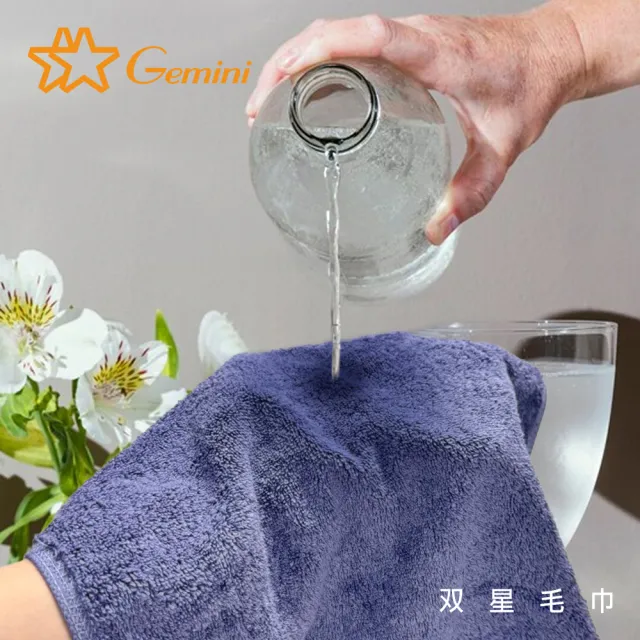 【Gemini 雙星】官方直營 飯店級經典厚韻系列浴巾(飯店加大浴巾)