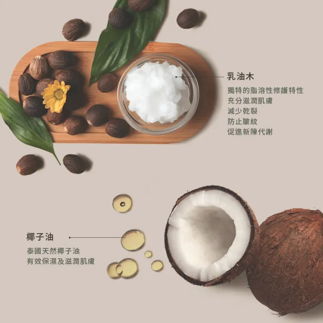 【golden hour】泰國純天然椰子油 護唇膏 花漾晨曦 / 櫻桃口味4.5gx2入(潤唇膏 / 保濕護唇膏/潤色護唇膏)