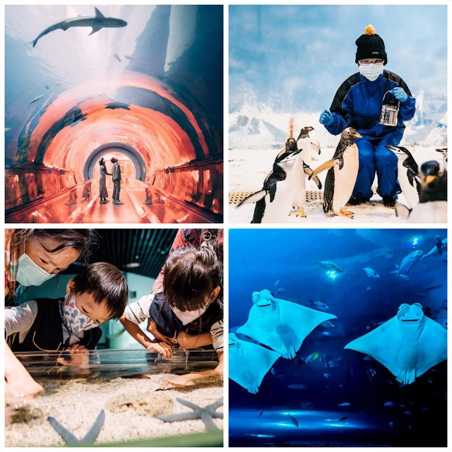 湯姆貝貝 高雄義享店-親子遊玩卷一大一小平日不限時/假日三小